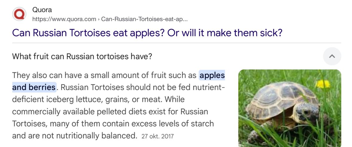 1036225_edebswupynxuscecegii.jpg