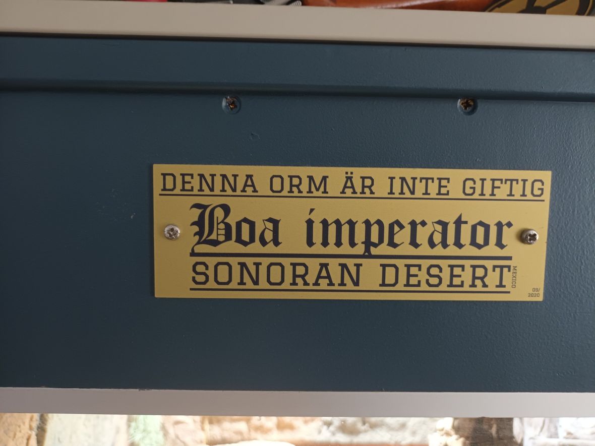 1025293_bbpnefushconiavtnvpq.jpg