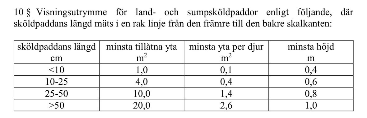 1036225_xkrudbgfdzpjdtdxorrt.jpg
